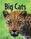 Child Nature Book Internet Linked Big Cats