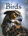 Child Nature Book Internet Linked birds