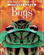 Child Nature Book Internet Linked Bugs