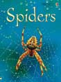 i can read book - spiders