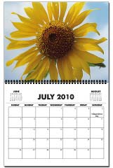 cards and calendars