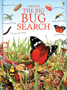 The Big Bug Search Book