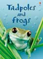 Tadpoles and Frogs Internet Referenced book