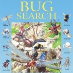 big-bug-search