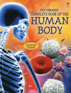 Human Body